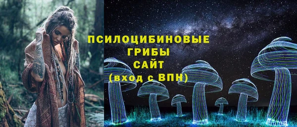 ПСИЛОЦИБИНОВЫЕ ГРИБЫ Липки
