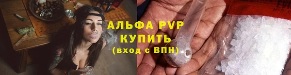 ПСИЛОЦИБИНОВЫЕ ГРИБЫ Липки