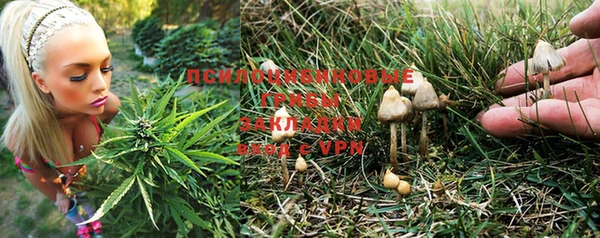 ПСИЛОЦИБИНОВЫЕ ГРИБЫ Липки