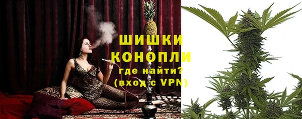 ПСИЛОЦИБИНОВЫЕ ГРИБЫ Липки