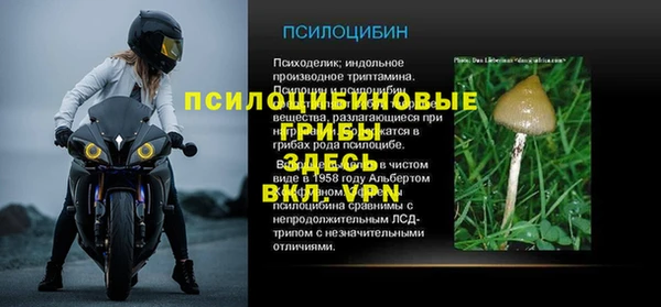 ПСИЛОЦИБИНОВЫЕ ГРИБЫ Липки