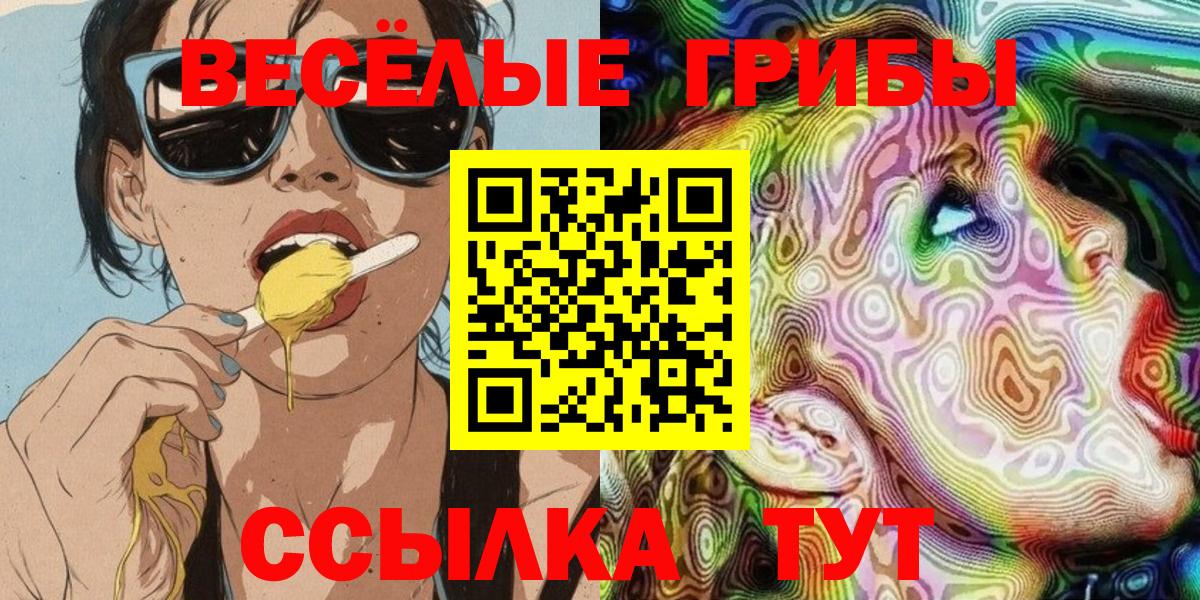 Псилоцибиновые грибы Cubensis Ростов-на-Дону