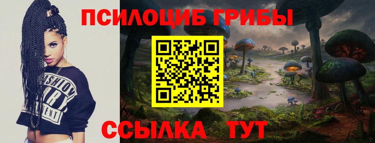 Галлюциногенные грибы мицелий  купить  сайты  Ростов-на-Дону 