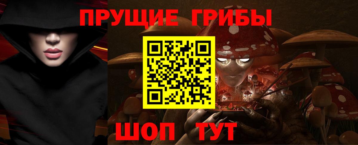 Ростов-на-Дону  купить наркотик  Галлюциногенные грибы GOLDEN TEACHER  Вход с VPN  Псилоцибиновые грибы Magic Shrooms 